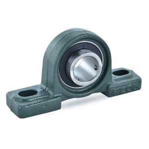 DBL UCP BEARING